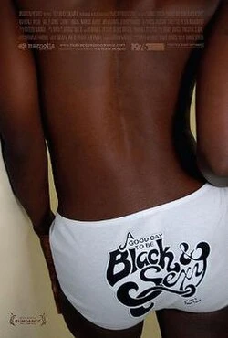 A Good Day to Be Black & Sexy poster