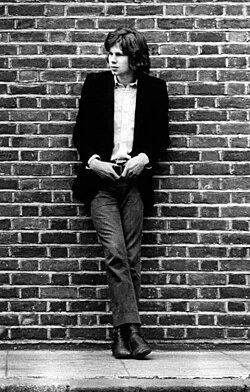 A Skin Too Few: The Days of Nick Drake poster