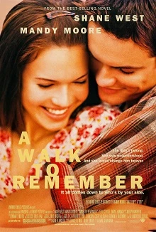 A Walk to Beautiful poster
