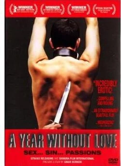 A Year Without Love poster