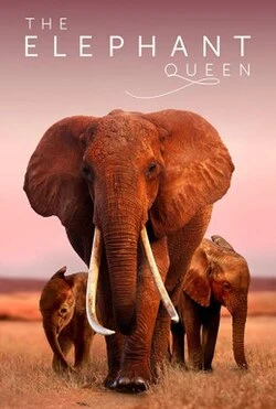 An Elephant's Journey poster