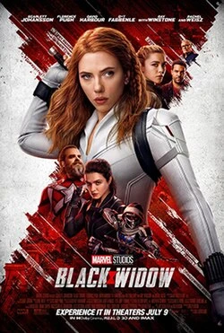 Blood Widow poster