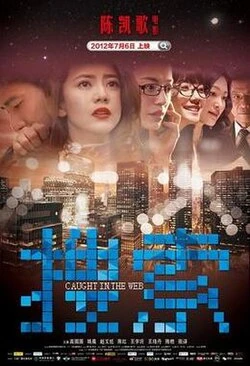 Caught in the Web poster