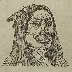 Crazy Horse poster