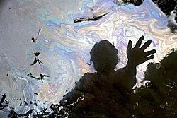 Crude poster