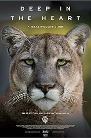 Deep in the Heart: A Texas Wildlife Story poster