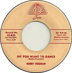 Do You Wanna Dance? poster
