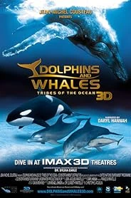 Dolphins and Whales 3D: Tribes of the Ocean poster