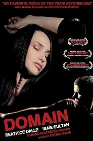 Domain poster