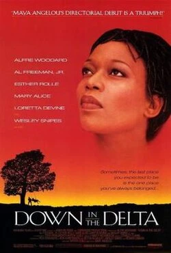 Down in the Delta poster