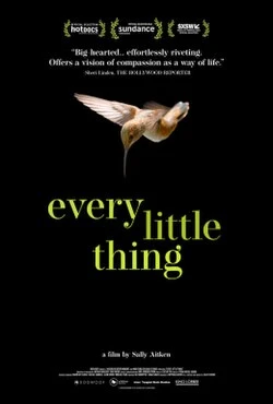 Every Little Thing poster
