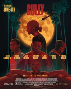 Gully poster