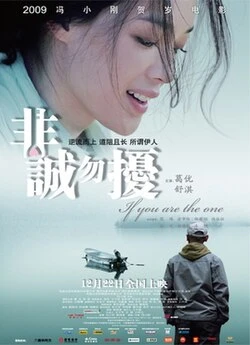 If You Are the One 2 poster