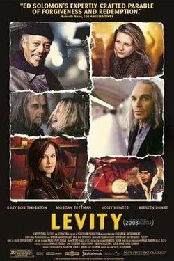 Levity poster
