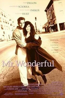 Mr. Wonderful poster