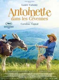 My Donkey, My Lover & I poster