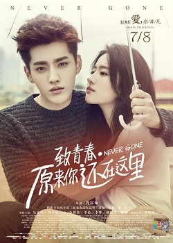 Never Gone poster