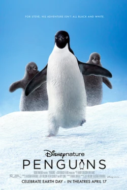 Penguins poster