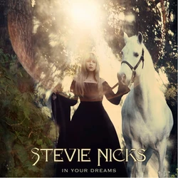 Stevie Nicks: In Your Dreams poster
