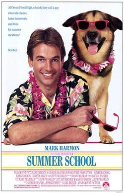 Summer School poster