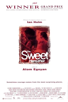 Sweet 20 poster