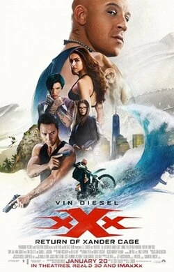The Cage Fighter poster