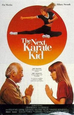 The Next Karate Kid poster