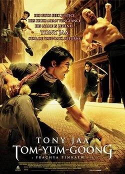 The Protector poster