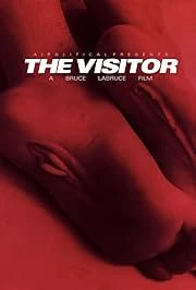 The Visitor poster
