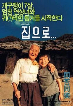 The Way Home poster