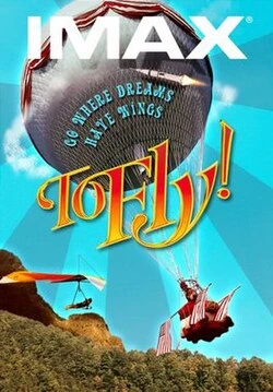 To Want to Fly poster