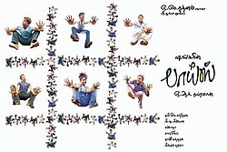 What Boys Like poster