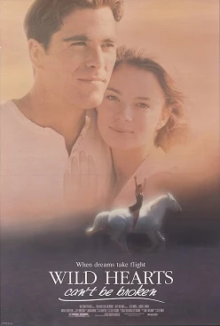 Wild Hearts Can't Be Broken poster