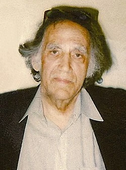 William Kunstler: Disturbing the Universe poster